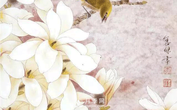 怎樣畫白玉蘭工筆畫，白玉蘭工筆畫詳細(xì)步驟(圖1)