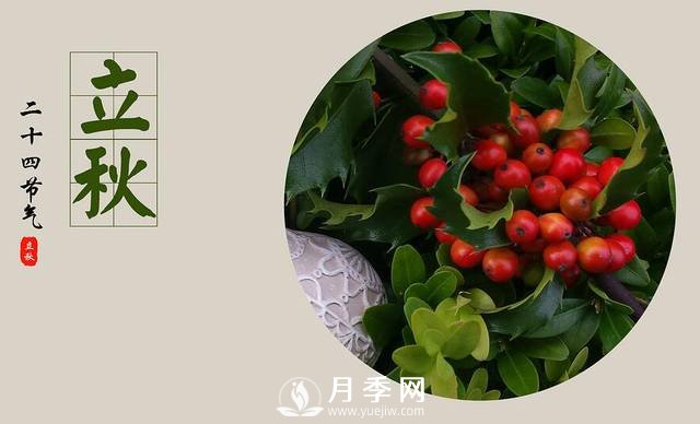 苗木人你知道苗木需要做什么養(yǎng)護(hù)嗎？(圖1)