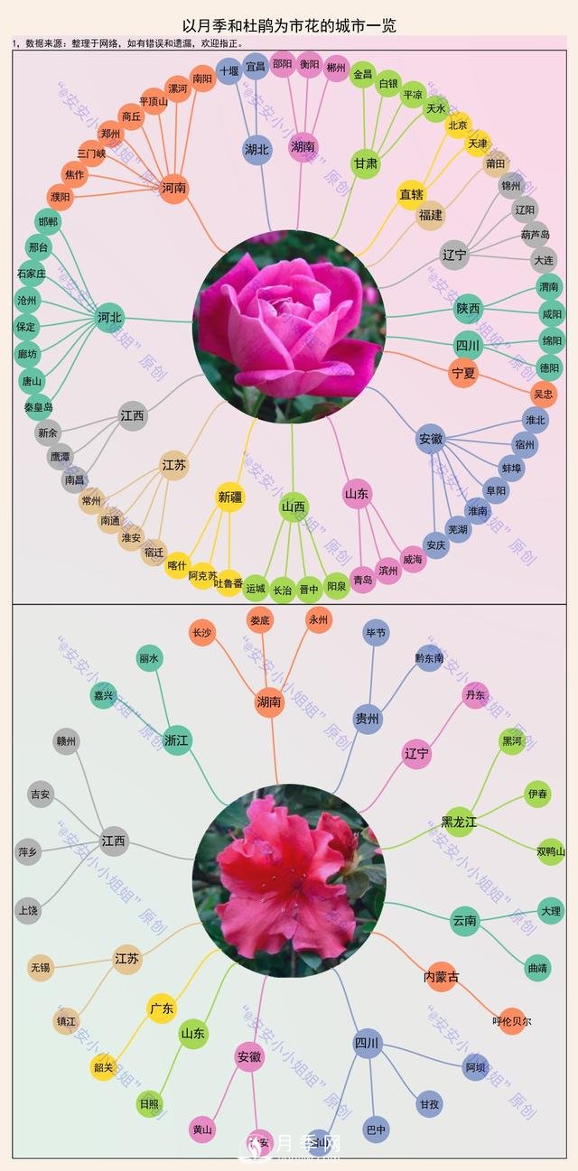 市樹市花地圖：月季、杜鵑、香樟、國(guó)槐(圖1)