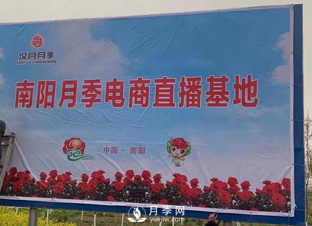 南陽(yáng)月季電商基地3月18號(hào)開(kāi)播儀式啟動(dòng)(圖2)