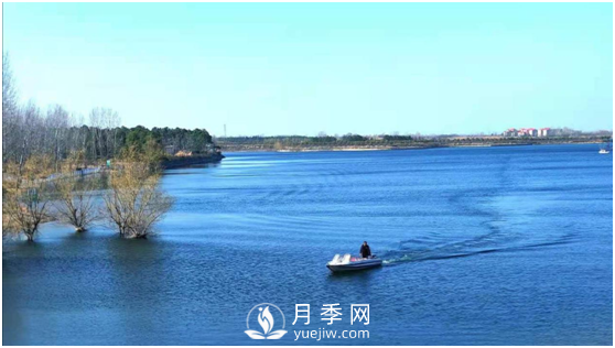 南陽(yáng)驚蟄時(shí)節(jié)，花紅柳綠又一春(圖4)