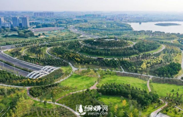 3.13萬畝！2021年鄭州綠化目之所及皆是綠(圖3)