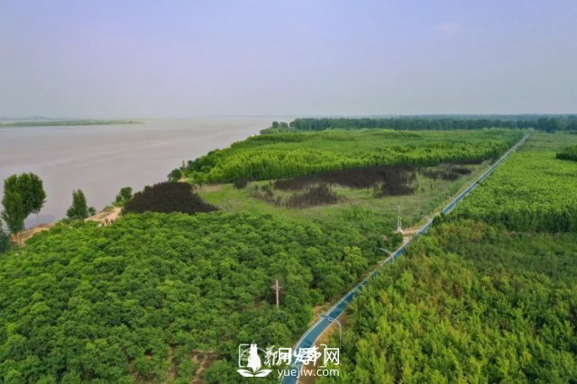3.13萬畝！2021年鄭州綠化目之所及皆是綠(圖4)