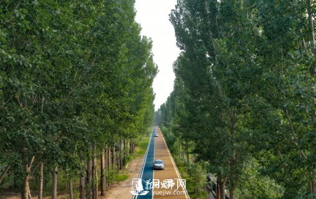3.13萬畝！2021年鄭州綠化目之所及皆是綠(圖2)