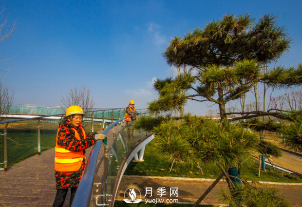 河南南陽：扮亮世界月季大觀園 喜迎世界月季博覽會(huì)(圖3)