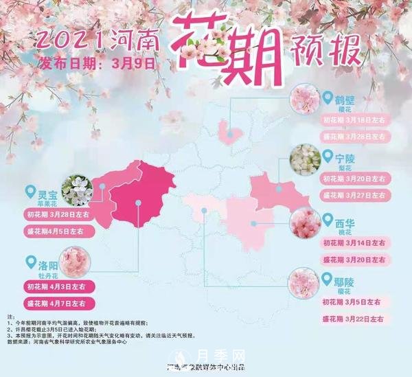 河南省氣象局發(fā)布花期地圖 洛陽牡丹花4月3日進(jìn)入初花期(圖1)