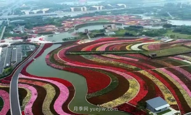 第十二屆南陽月季花會4月29日開幕，花事活動提前報(圖1)