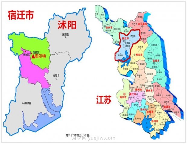 重拳出擊！江蘇沭陽“打假”扣押苗木10萬余株(圖3)