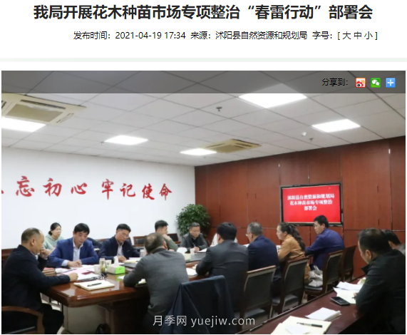 重拳出擊！江蘇沭陽“打假”扣押苗木10萬余株(圖2)