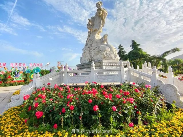 南陽月季博覽園，6月份全月免門票！(圖2)