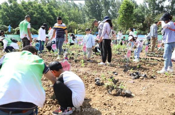 漯河城管園林科研所，邀請400余位市民花田體驗栽花(圖3)