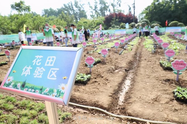 漯河城管園林科研所，邀請400余位市民花田體驗栽花(圖1)