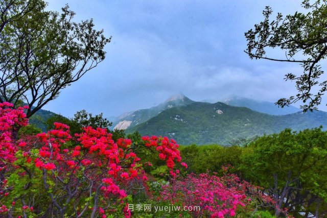 桐柏縣，淮河之源 坐標(biāo)桐柏山(圖1)
