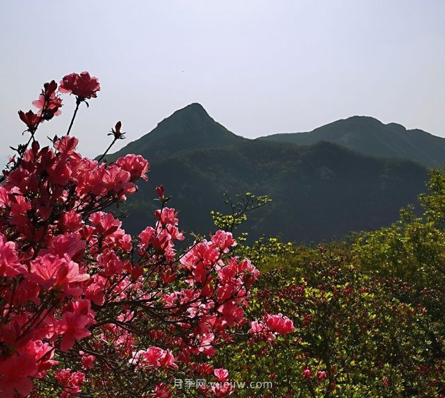 桐柏縣，淮河之源 坐標(biāo)桐柏山(圖2)