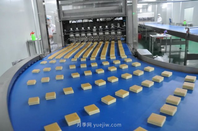 漯河打造農(nóng)業(yè)全產(chǎn)業(yè)鏈，實(shí)現(xiàn)航母級產(chǎn)業(yè)(圖3)