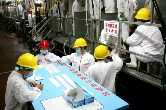 漯河打造農(nóng)業(yè)全產(chǎn)業(yè)鏈，實(shí)現(xiàn)航母級產(chǎn)業(yè)(圖4)