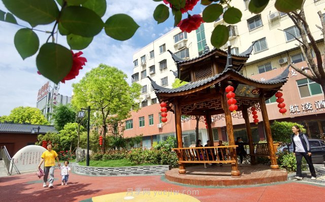南陽臥龍崗街道，廢墟變游園，月季景優(yōu)美(圖2)