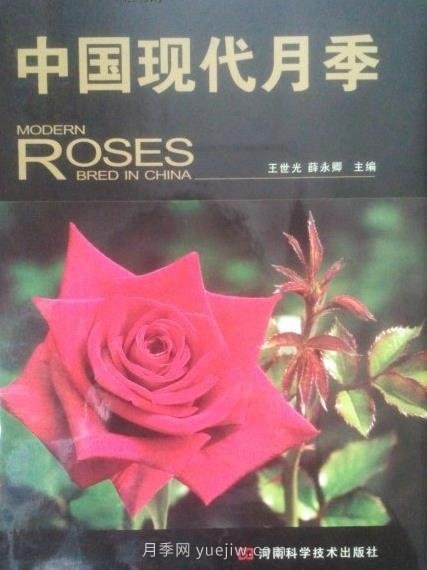 月季圖書：王世光，薛永卿《中國現(xiàn)代月季》(圖1)