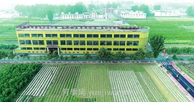 打造“中國艾草之鄉(xiāng)”，南陽市臥龍區(qū)引領艾草產業(yè)高質量發(fā)展(圖5)