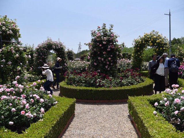 城市公園中使用綠雕應該注意哪些問題？(圖1)