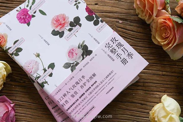 月季圖書(shū)：元木春美《玫瑰月季完整手冊(cè)》(圖1)