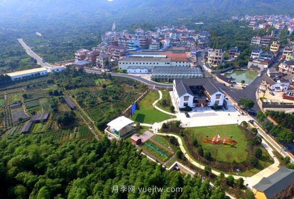 紹興漓渚鎮(zhèn)：一株花木如何成就了國家級田園綜合體？(圖1)