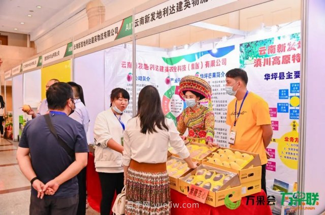 第三屆云果會盛大開幕，助力云南打造世界一流綠色食品牌(圖7)