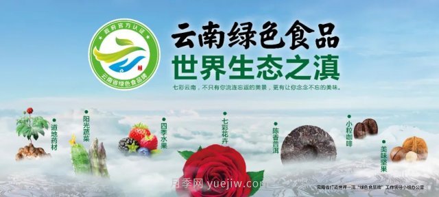 第三屆云果會盛大開幕，助力云南打造世界一流綠色食品牌(圖1)