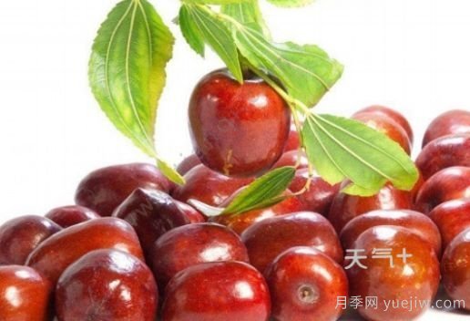 南陽(yáng)市淅川縣的出名特產(chǎn)有哪些？(圖4)