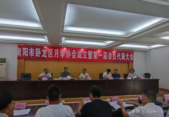南陽市臥龍區(qū)月季協(xié)會成立，趙磊當選會長(圖1)