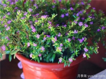 “厚德載物”是哪幾德，你知道嗎？漲知識(shí)！