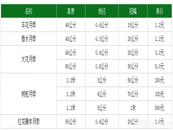 月季花多少錢一株？月季花的繁殖方法和養(yǎng)殖方法