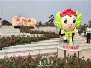 月季網(wǎng)告訴你南陽月季有哪些不同的分類？