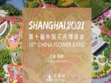 5月，第十屆中國花博會將在崇明拉開帷幕