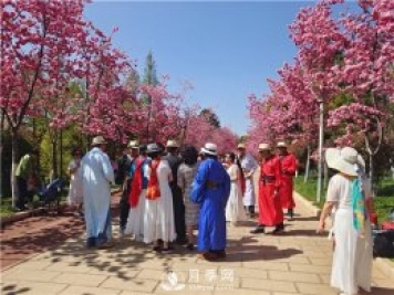 定位為月季主題公園，昆明呈貢區(qū)將集中打造彩云公園
