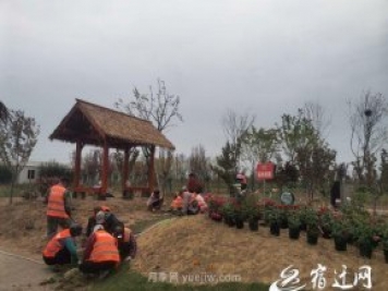醉美泗陽(yáng)，月季花海，第十一屆中國(guó)月季展覽會(huì)4月28日開(kāi)幕