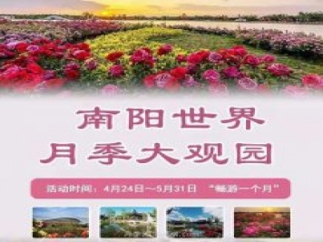 第十二屆南陽(yáng)月季花會(huì)4月29日開(kāi)幕，活動(dòng)豐富多彩