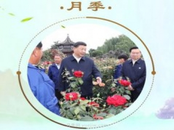 “小康菜譜”上新了！“最強(qiáng)帶貨員”這次cue到南陽月季