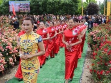 西安鄠邑區(qū)首屆月季花節(jié)開幕，爭奇斗艷迎賓客
