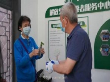 送你一枝月季，許你一束繁花，武漢百余市民領(lǐng)到月季扦插枝條
