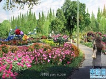 2021年貴陽花溪公園精品月季花卉展即將對(duì)外開放