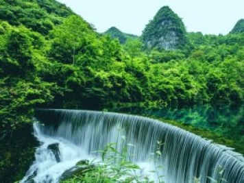 貴州特色林業(yè)產(chǎn)業(yè)基地達(dá)1078萬畝