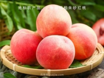 鄉(xiāng)村振興——如何讓消費(fèi)者愛(ài)上農(nóng)村特色農(nóng)產(chǎn)品