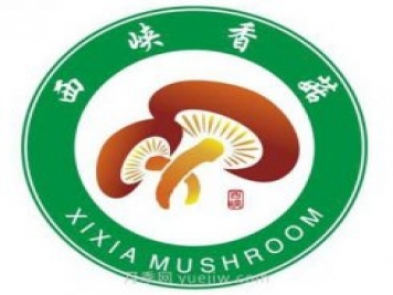 南陽(yáng)西峽：發(fā)展菌果藥特色產(chǎn)業(yè) 全力推進(jìn)鄉(xiāng)村振興