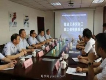 推進艾草深加工，做大做強南陽艾，主題座談會成功召開