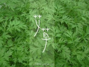 宛艾！南陽(yáng)艾草產(chǎn)業(yè)志在出圈，怎借東風(fēng)成就世界艾鄉(xiāng)？