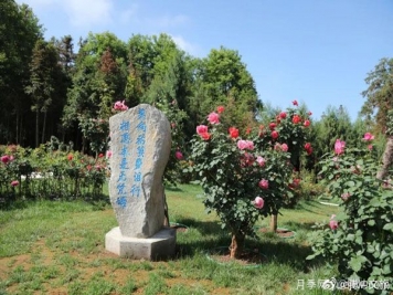 月季與美麗鄉(xiāng)村：保山騰沖老寨子，花在我眼前盛開