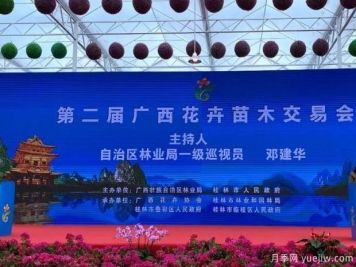 花開八桂壯美廣西，第二屆廣西花卉苗木交易會開幕