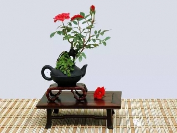 如何制作漂亮的月季盆景？藝術品來了