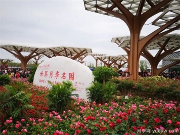 院子里設(shè)計(jì)一塊月季花境，一年四季繁花盛開美如仙境